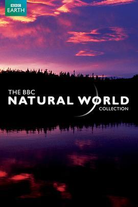 BBC自然世界：大象洞穴