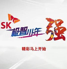 SK极智少年强2017