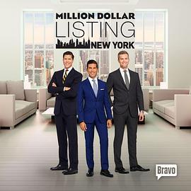 百万美元豪宅：纽约第五季