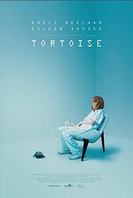 tortoise