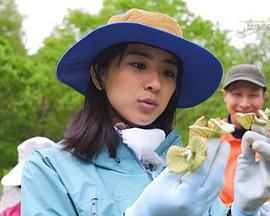 にっぽん百名山スペシャル「“山女”憧れの頂へ！」