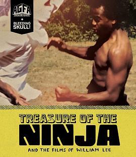 TreasureoftheNinja