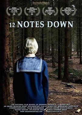 12NotesDown