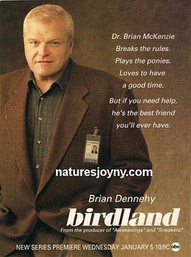 Birdland