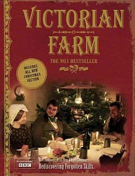 维多利亚时代农场之圣诞