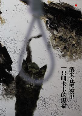 一只叫卡卡的黑猫消失在黑夜里